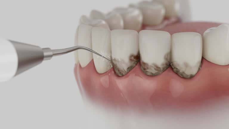 Reliable Dental contractor in McCalla, AL by Dentist Open Now